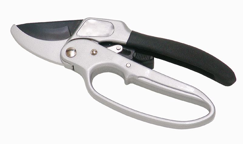 2527_ratschenschere.jpg