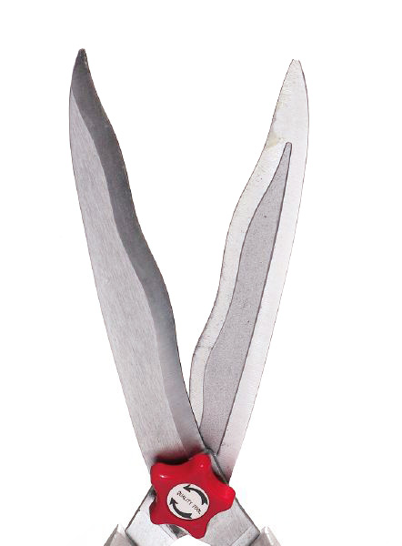 2624_heckenschere1.jpg